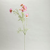 Pink Comos Flower Large